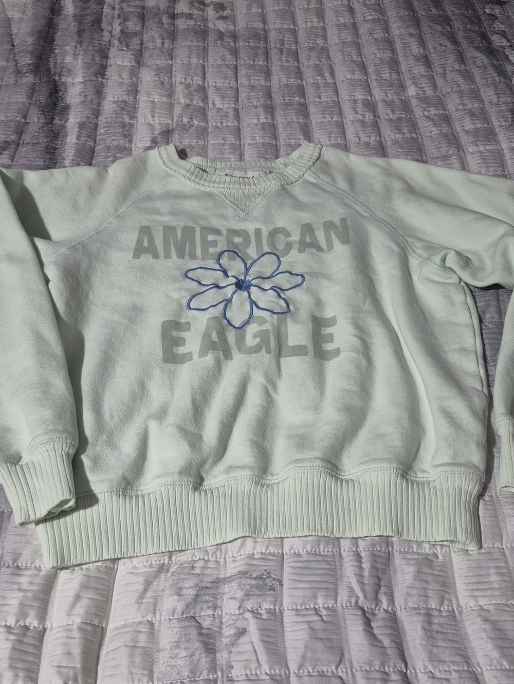 American Eagle Outfitters Mint Green Crewneck Sweatshirt with Blue Flower